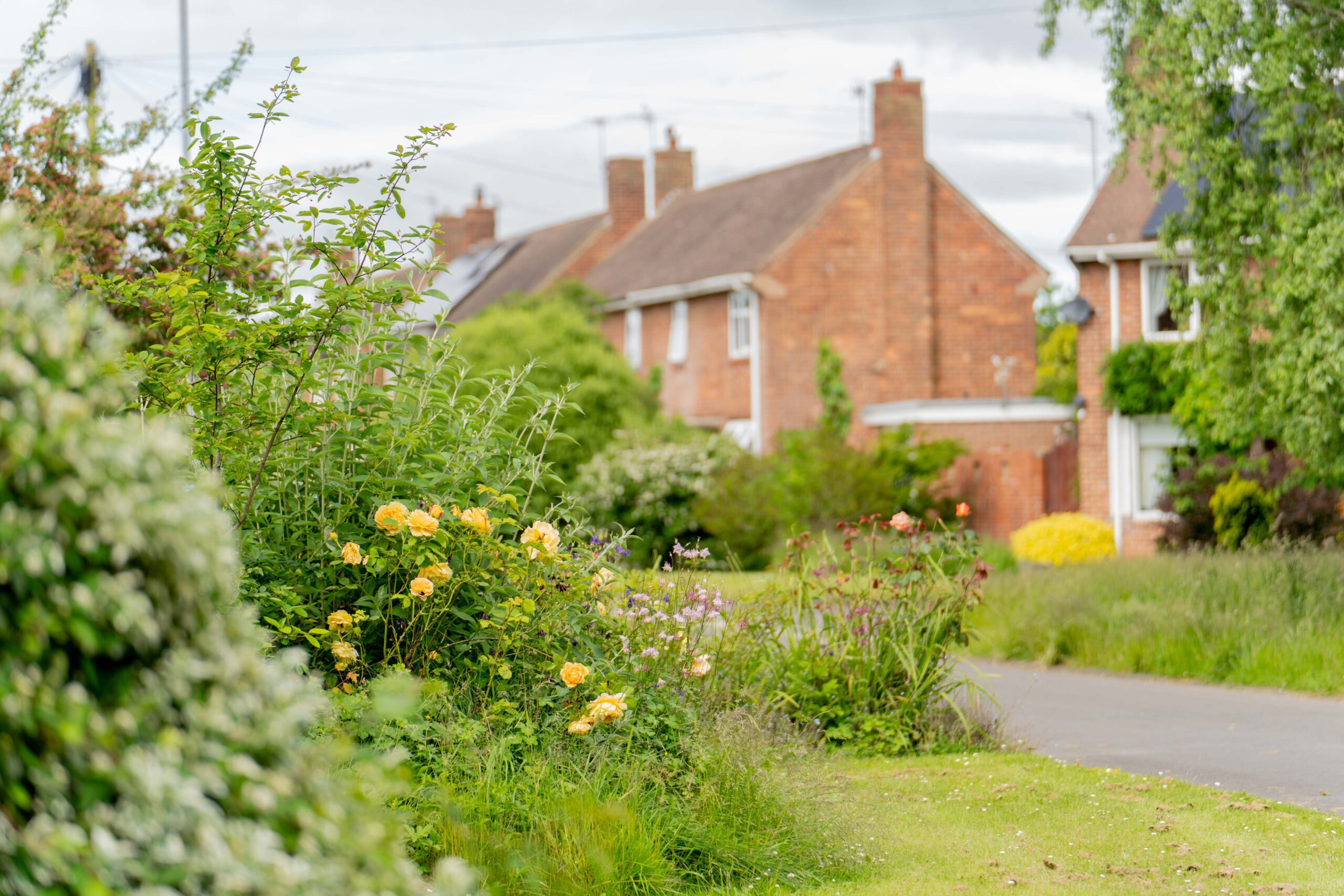 Middleton St George - Virginia Estate